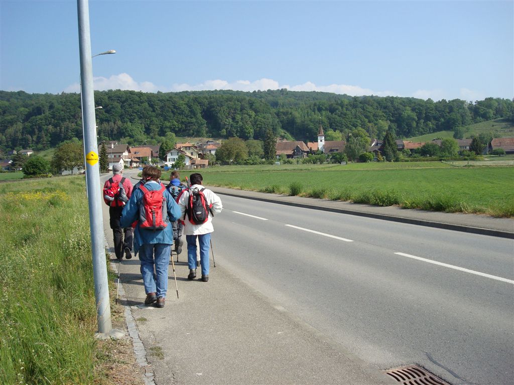 2011 gampelen_erlach